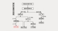 徐州商标注册的流程是什么